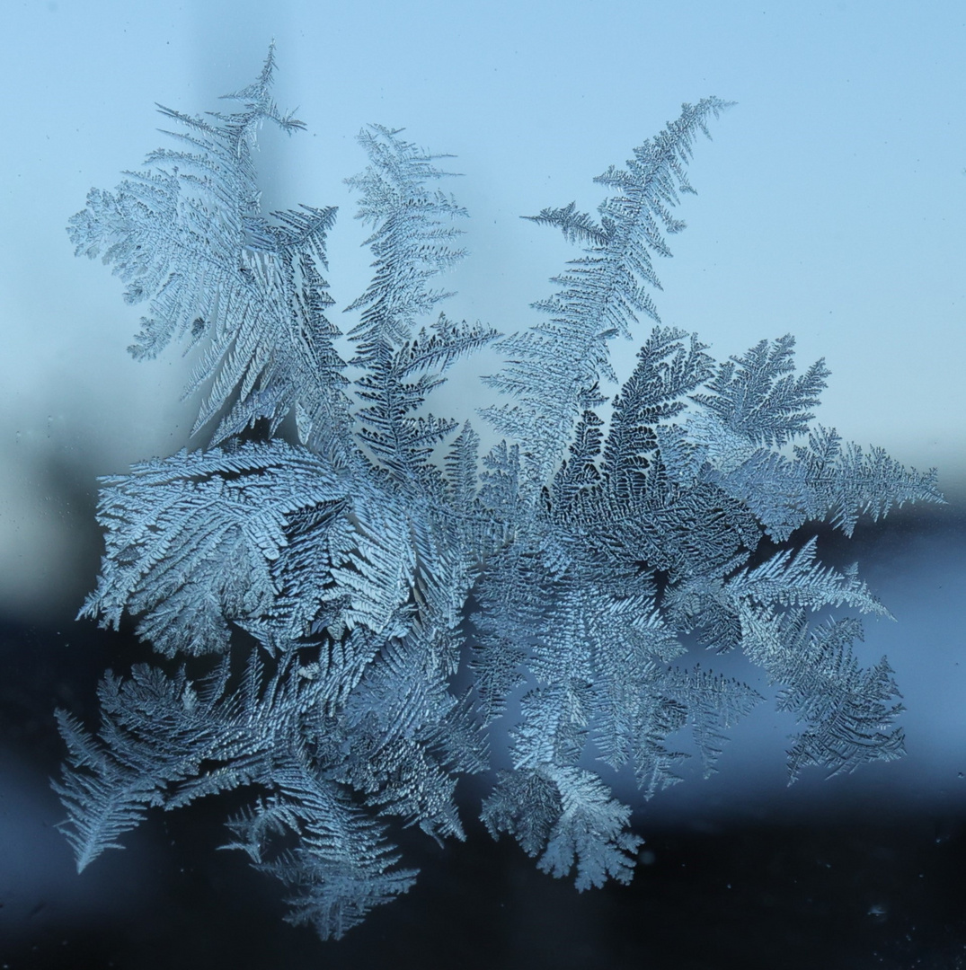 Eisblumenwolke