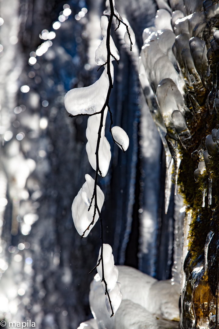 ...Eisbonbons am Stil...