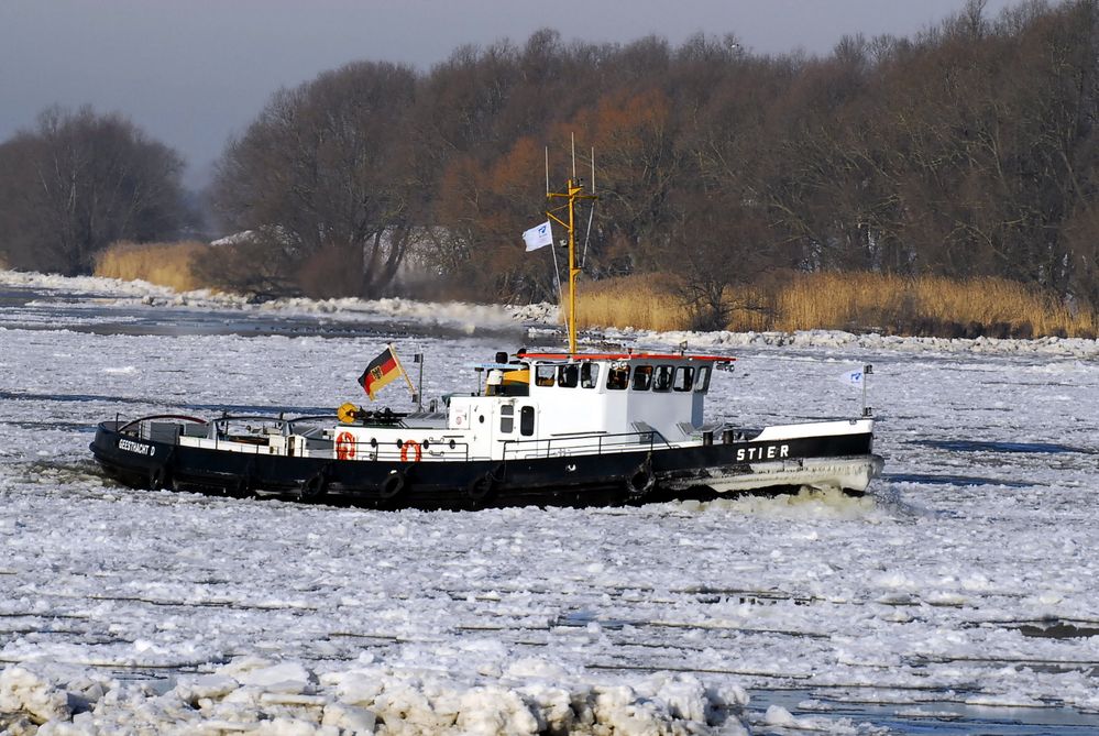 Eisbrecher auf der Elbe 4