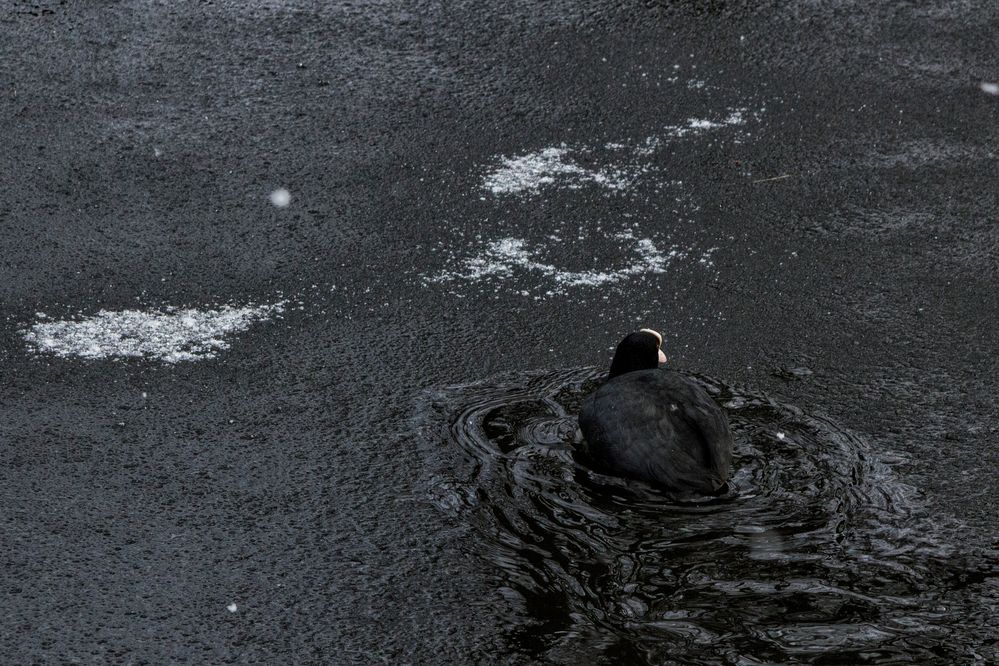 Eisbrecher auf der Nette