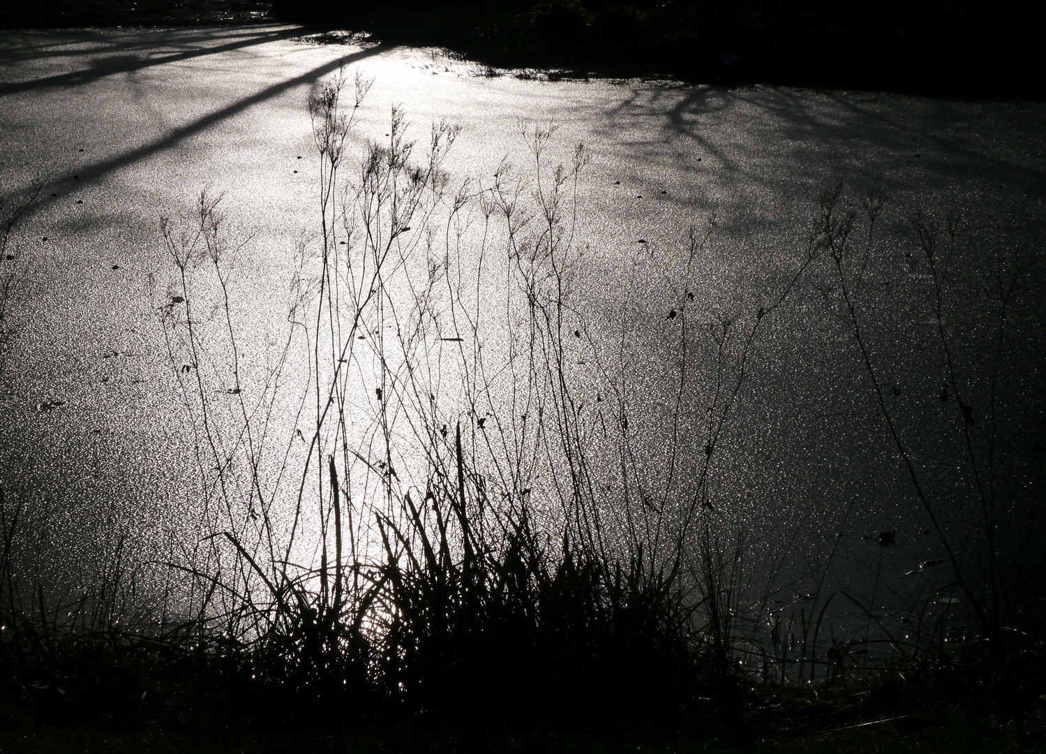 Eisdecke im Gegenlicht