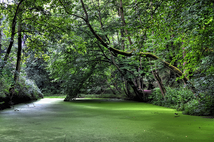 Eisenach Drachenschlucht