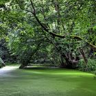 Eisenach Drachenschlucht