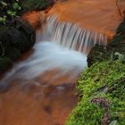 Eisenbach im Rombergpark