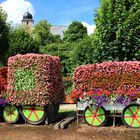 Eisenbahn aus Blumen