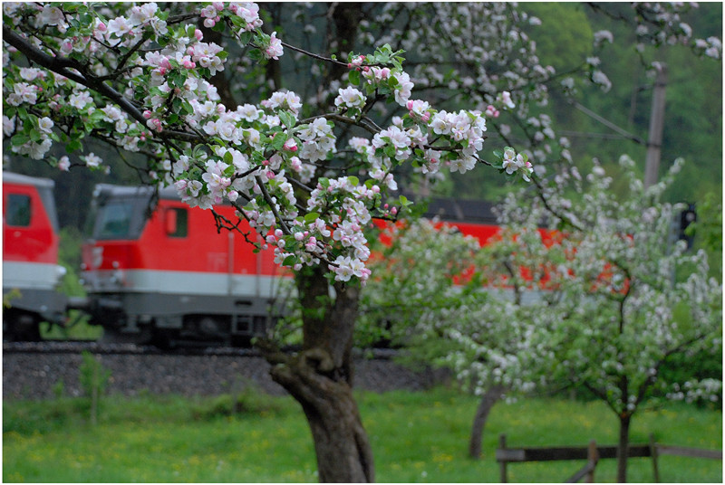 Eisenbahn - Frühling