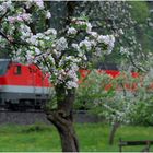 Eisenbahn - Frühling