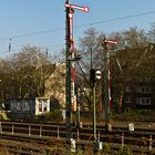 Eisenbahn im Frühling