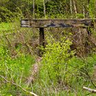 Eisenbahn im Wandel der Zeit