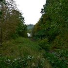 Eisenbahn mit Wartburgblick