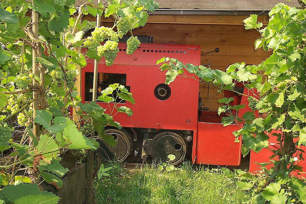 Eisenbahn und Natur