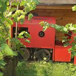 Eisenbahn und Natur