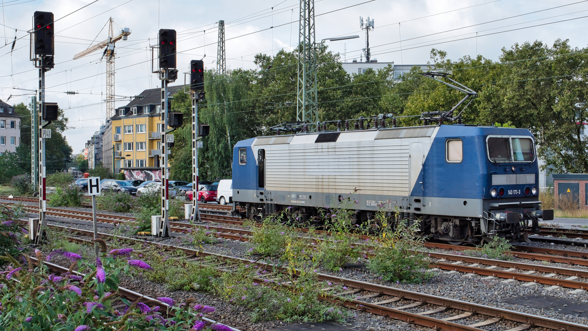 Eisenbahn und Sommerflieder