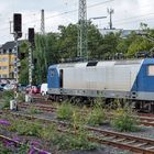 Eisenbahn und Sommerflieder