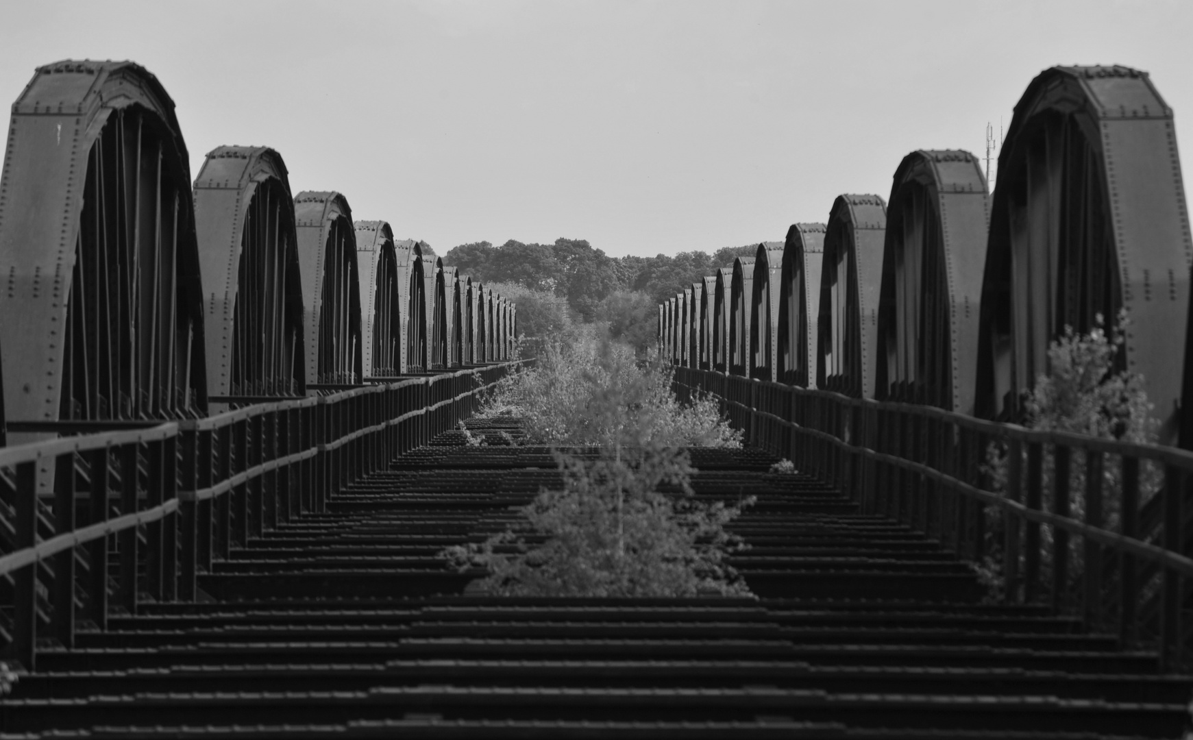 Eisenbahnbrücke Dömitz/Elbe III