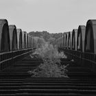Eisenbahnbrücke Dömitz/Elbe III