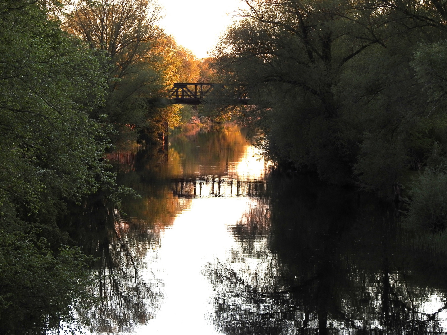 Eisenbahnbrücke in der Abendsonne