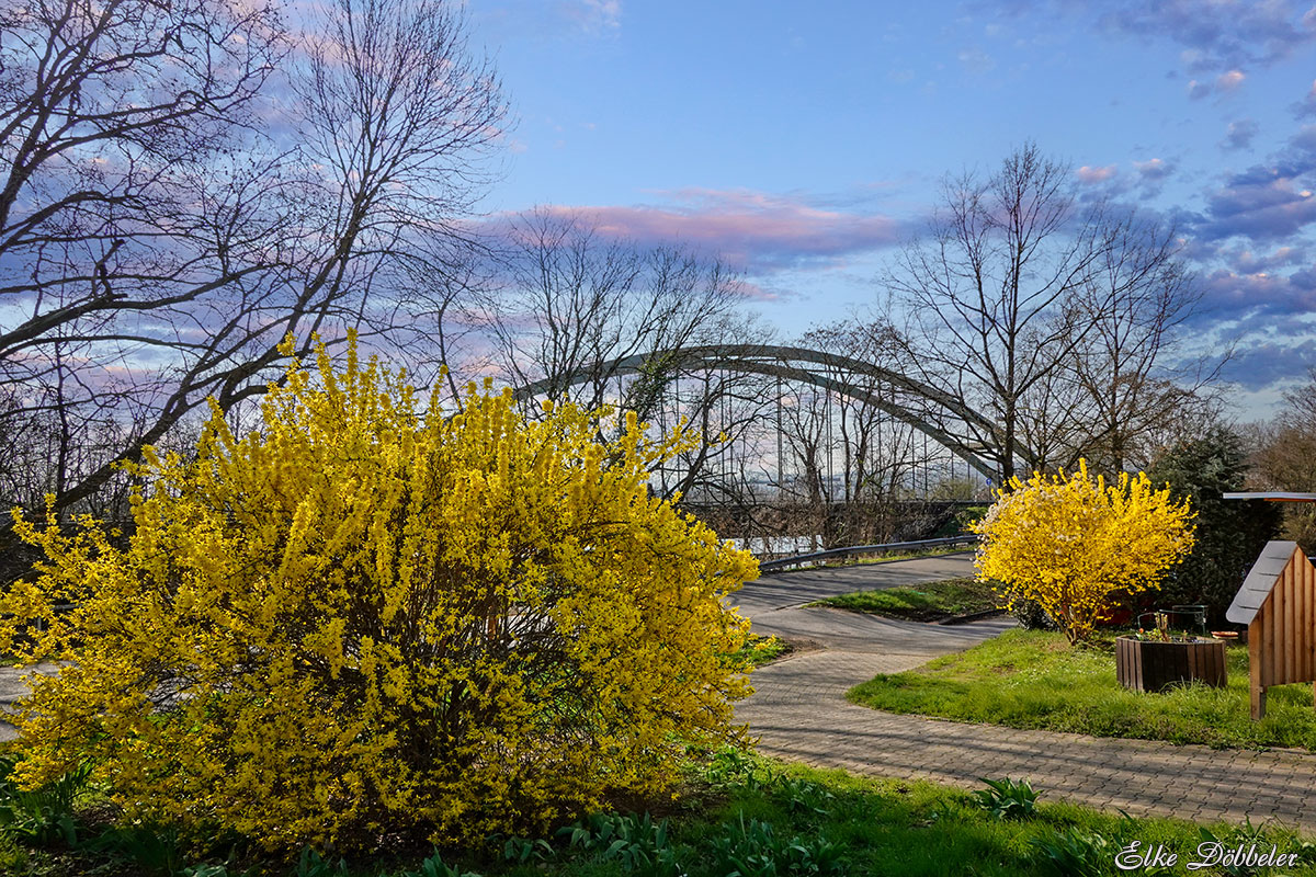 Eisenbahnbrücke in Neuwied-Irlich