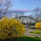 Eisenbahnbrücke in Neuwied-Irlich