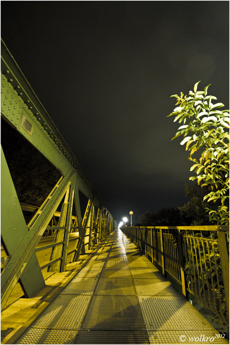 Eisenbahnbrücke Linz