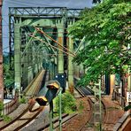 Eisenbahnbrücke Mainz am Rhein Rosengarten