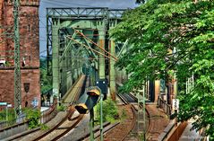 Eisenbahnbrücke Mainz am Rhein Rosengarten