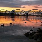 Eisenbahnbrücke Mannheim - Ludwigshafen