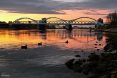 Eisenbahnbrücke Mannheim - Ludwigshafen