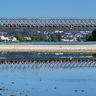 Eisenbahnbrücke Neuwied - Engers Rhein