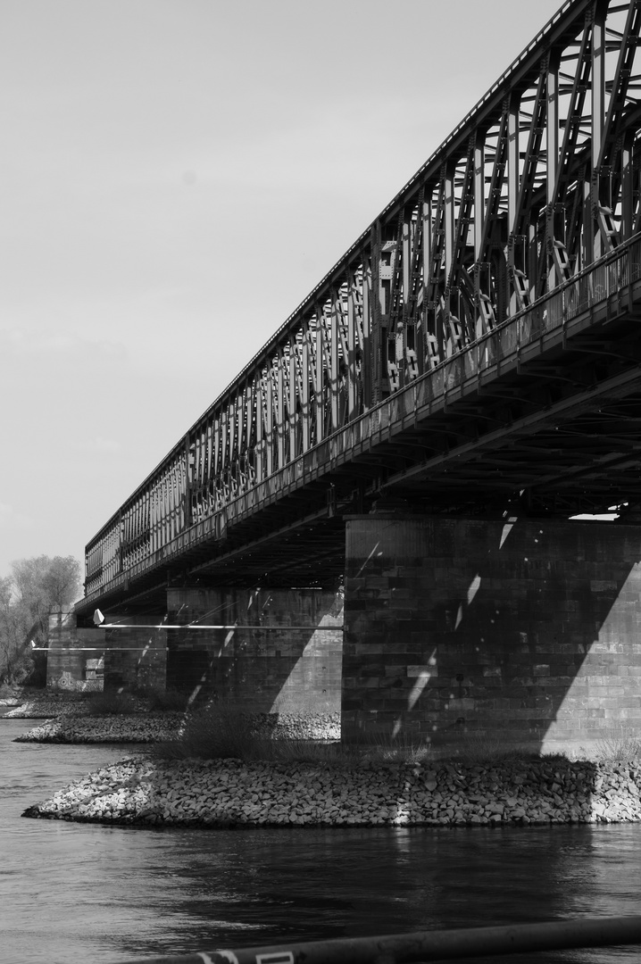 Eisenbahnbrücke über den Rhein