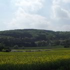 Eisenbahnbrücke- Winterberg- In Vlotho