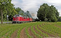 Eisenbahner Gewerkschaftler...........