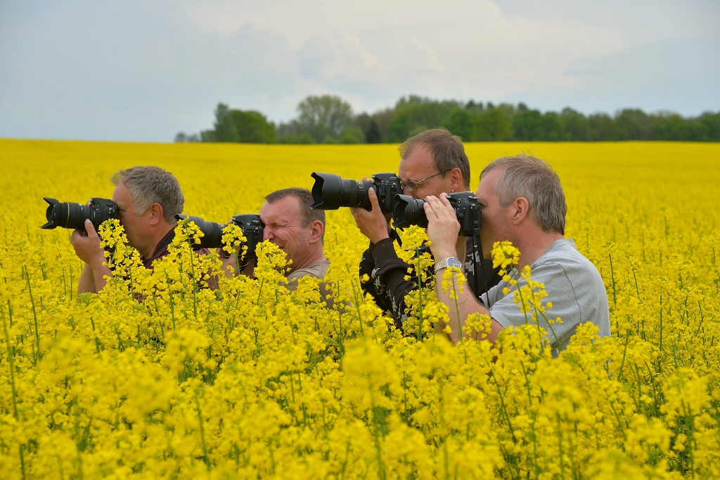 Eisenbahnfotografen bei der Arbeit