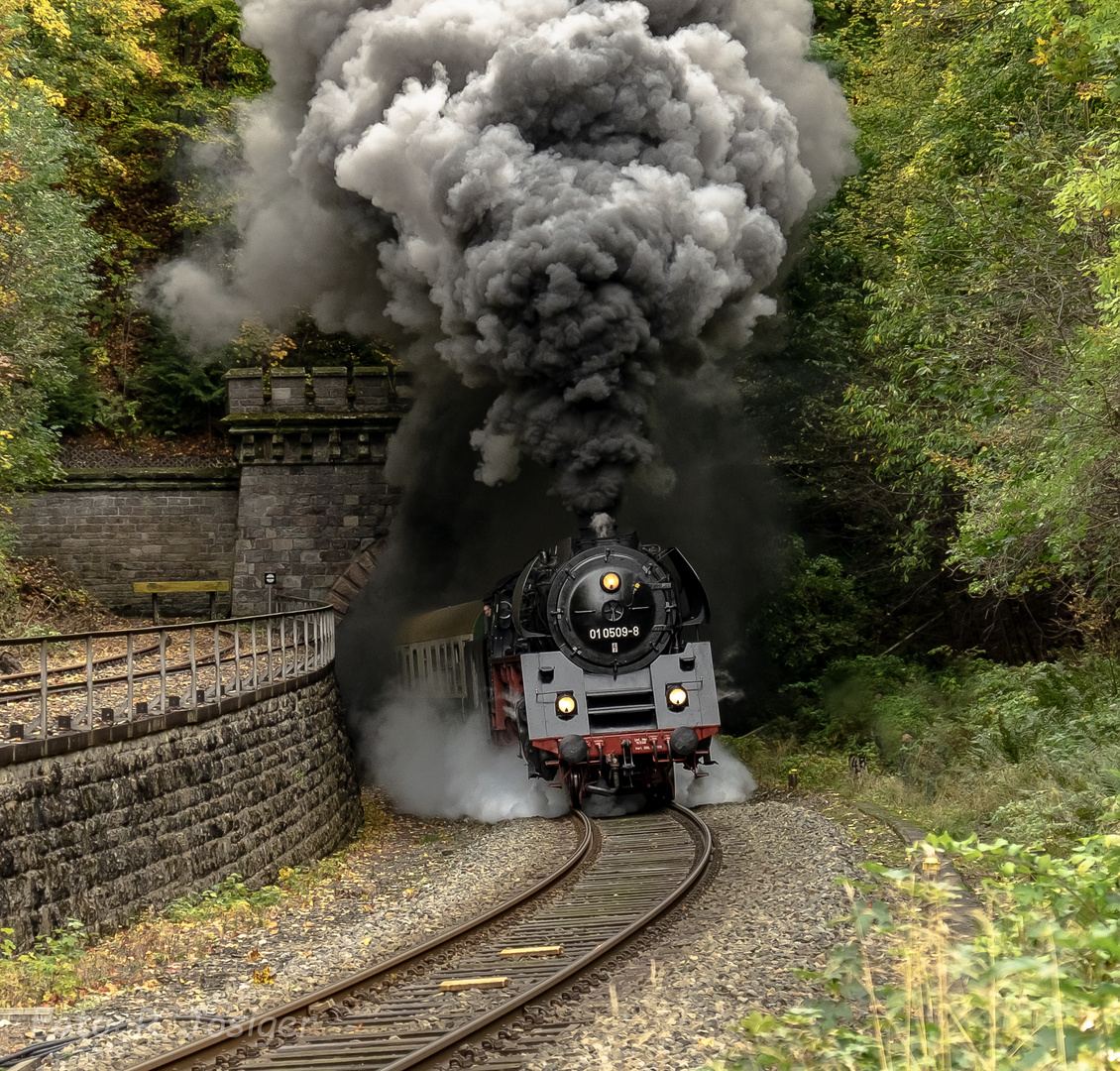 Eisenbahnfreunde Sonneberg Ausfahrt 2017- 5