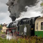 Eisenbahnfreunde Sonneberg Ausfahrt 2017-7