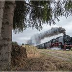 Eisenbahnromantik am Misthaufen