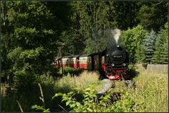 Eisenbahnromatik im Harz