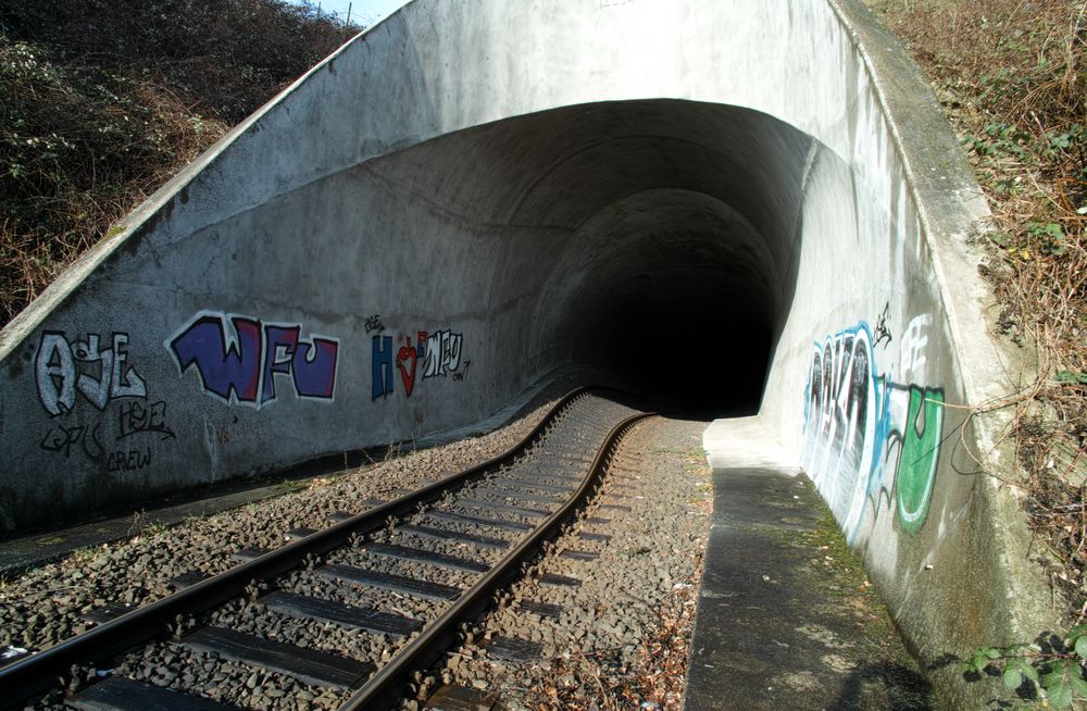 Eisenbahntunnel Büdesheim