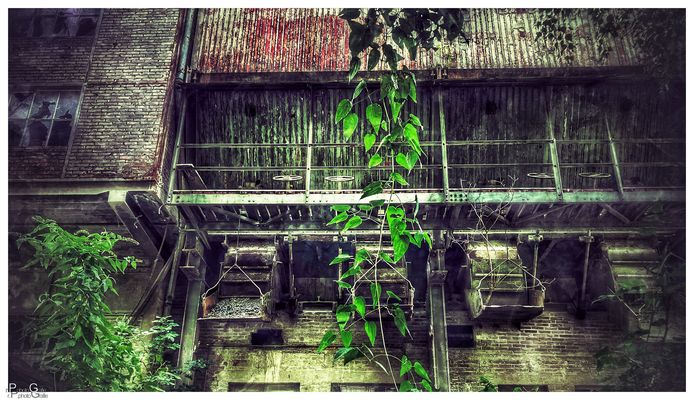 Eisenbergwerk Gonzen