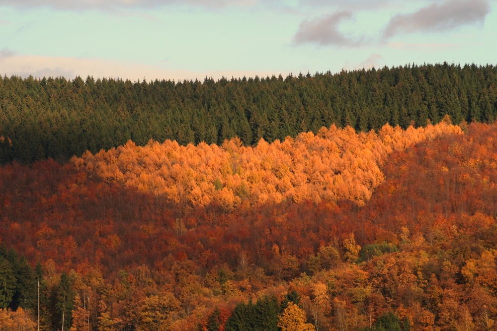 Eiserfeld, Hengsberg aus dem Baugebiet Wiedtal