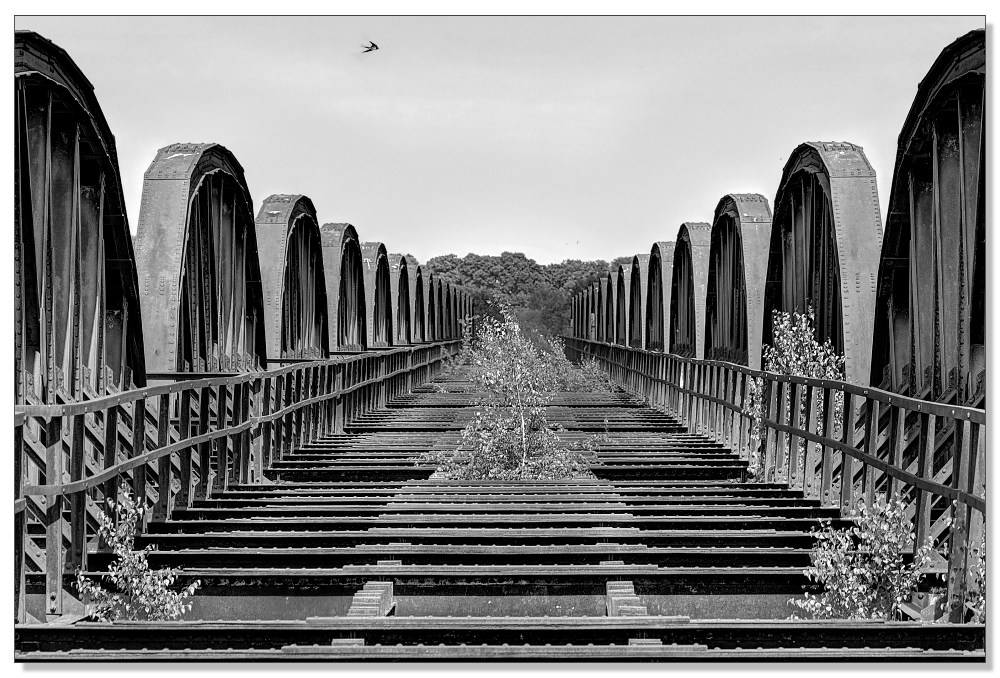 Eiserne Brücke