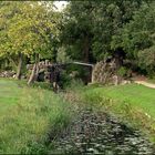 Eiserne Brücke - Wörlitzer Park