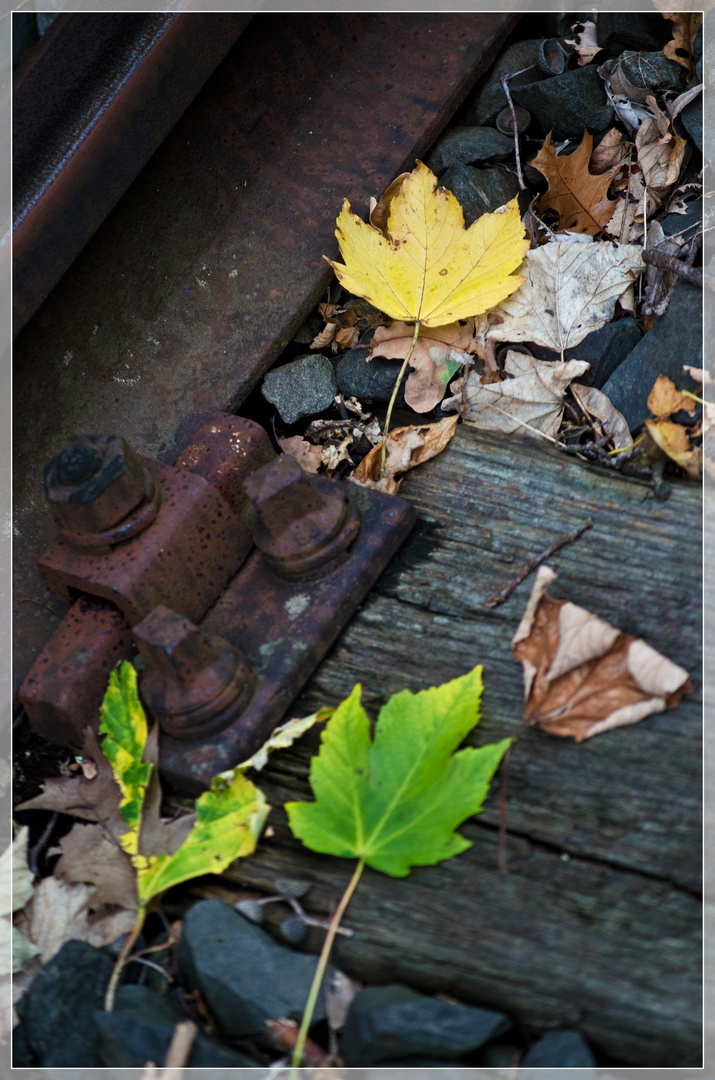 eiserne Herbstimpression