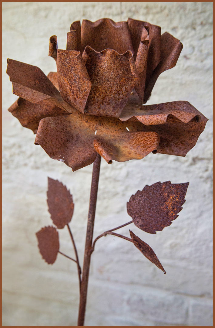 Eiserne Rosen-Lady - recycelt und rostig...