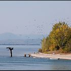 Eisernes Tor: Donau-See vor Djerdap 2