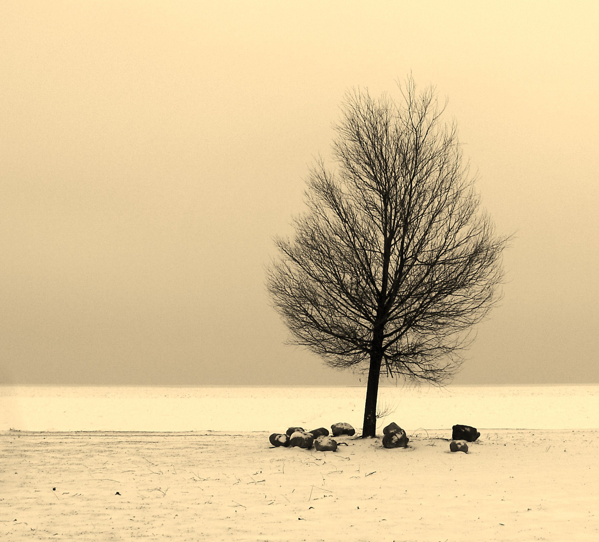 Eises Stille am Oderhaff 04.12. 2010