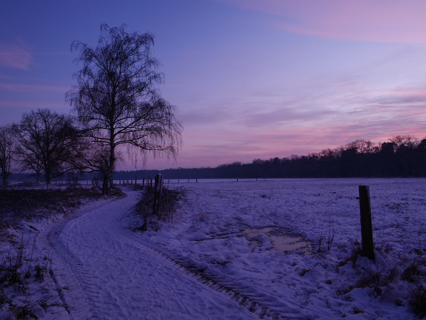 Eiseskälte 