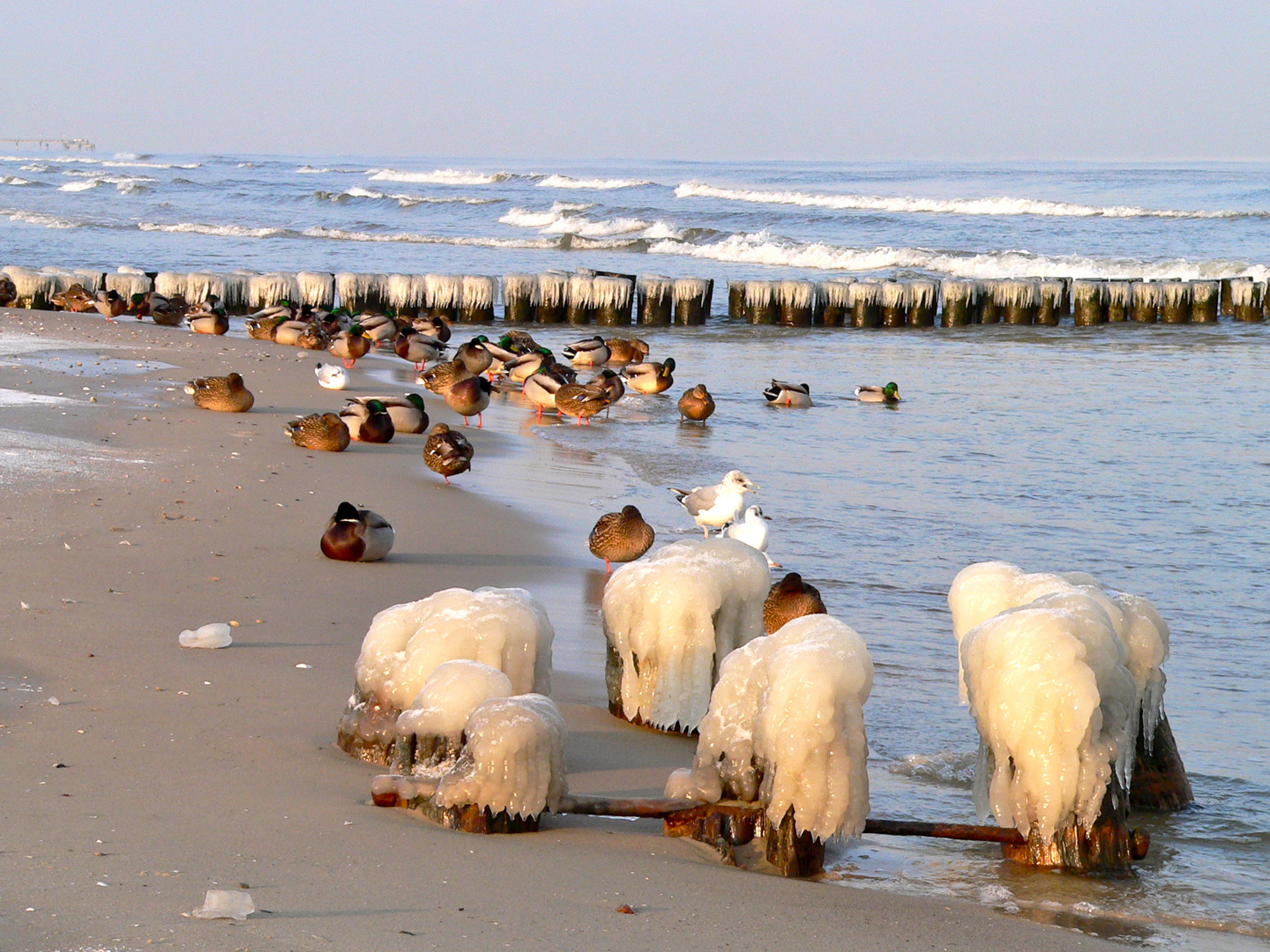 Eiseskälte an der OSTSEE BEI BANSIN - jetzt "läuft das Meer nicht mehr aus ;-))