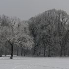 Eiseskälte in Oberschleissheim