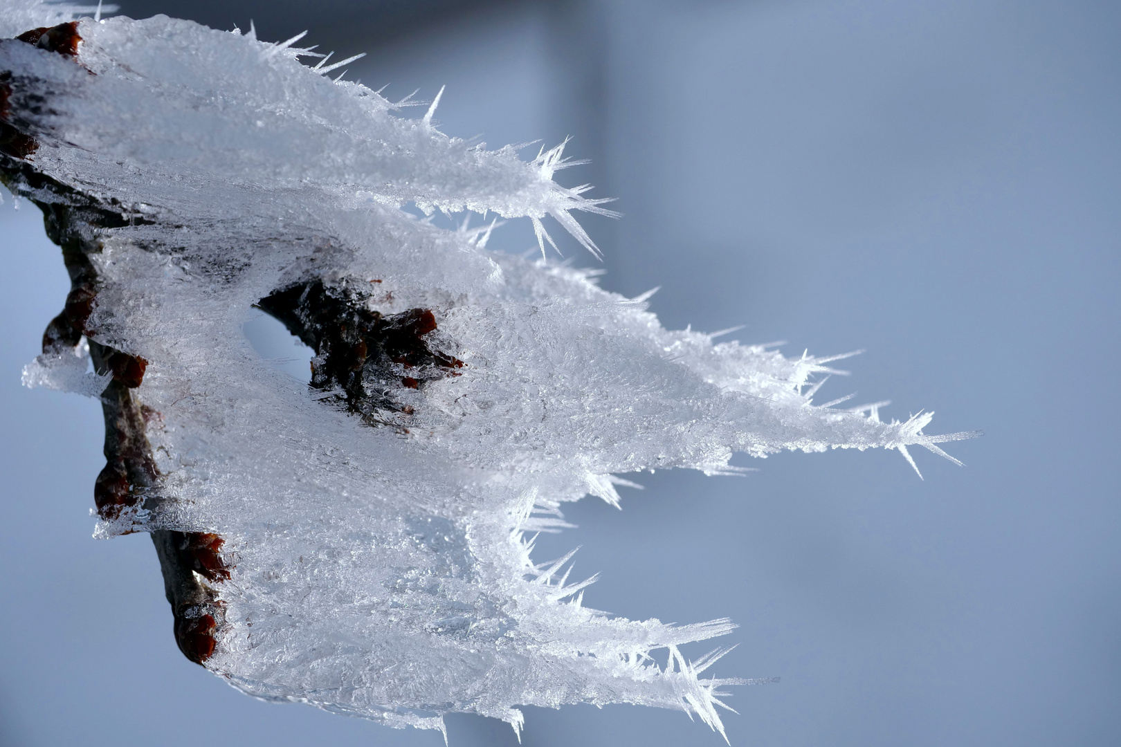 Eisfahnen